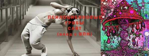 бошки Осинники