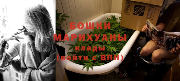 твердый Осташков