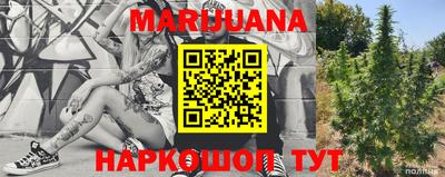 крисы Новозыбков