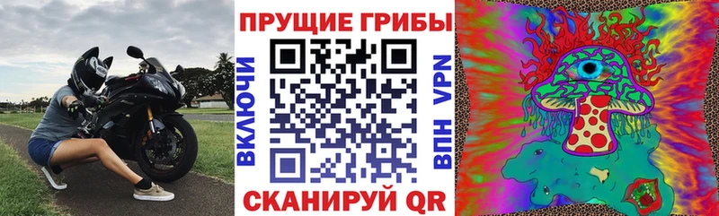 Псилоцибиновые грибы Cubensis  мориарти Telegram  Элиста 