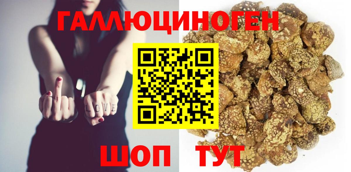 Галлюциногенные грибы мицелий Элиста