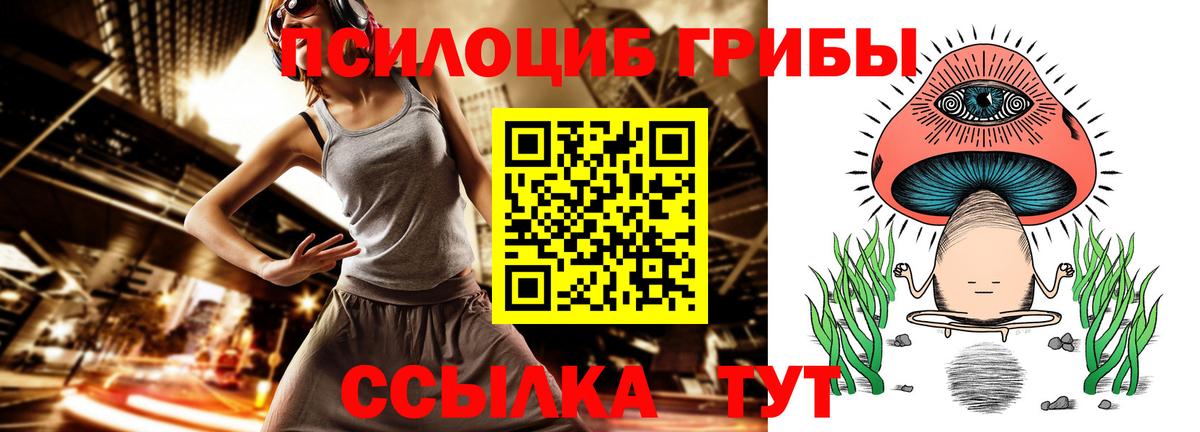 Элиста  Псилоцибиновые грибы Magic Shrooms  Вход с VPN 